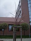 Duben 2011